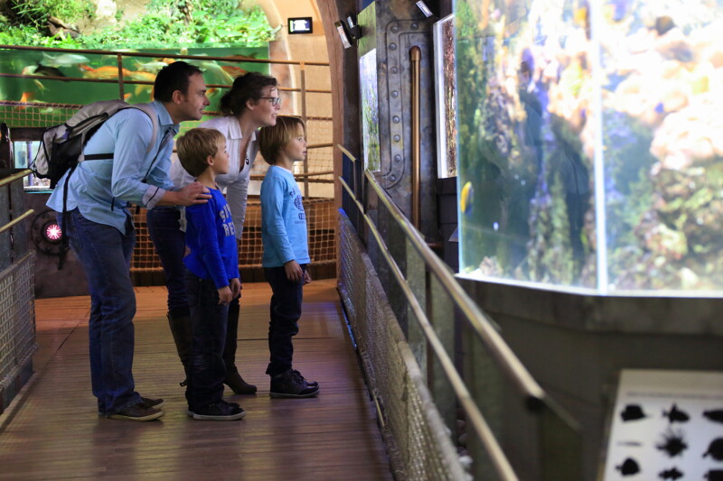 Aquarium de Limoges ©CRTNA M Turin