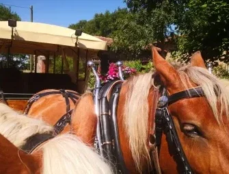 La Roulotte à manger