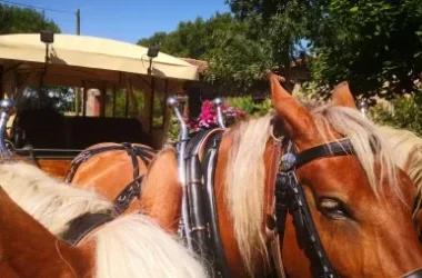 La Roulotte à manger