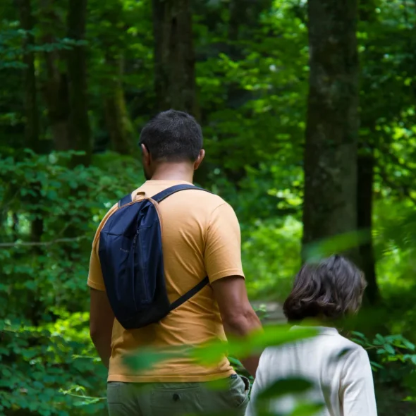 Les plus belles randonnées de Limoges