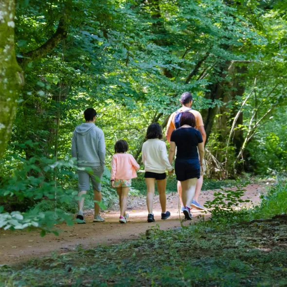 Les plus belles randonnées de Limoges