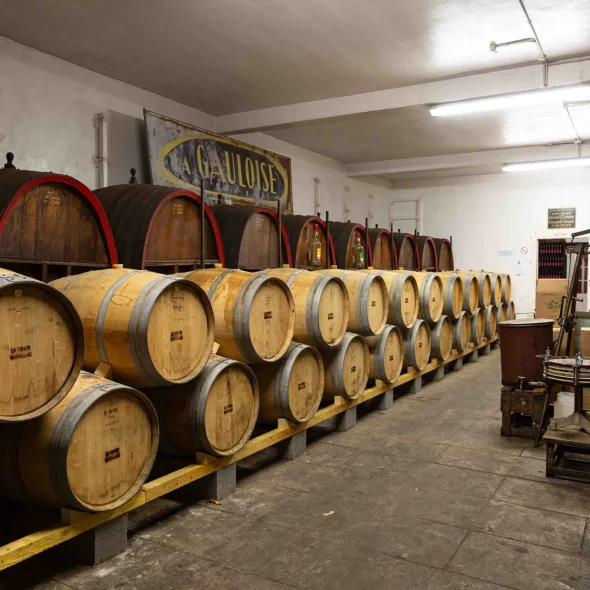 Visitez Limoges en tuk-tuk touristique