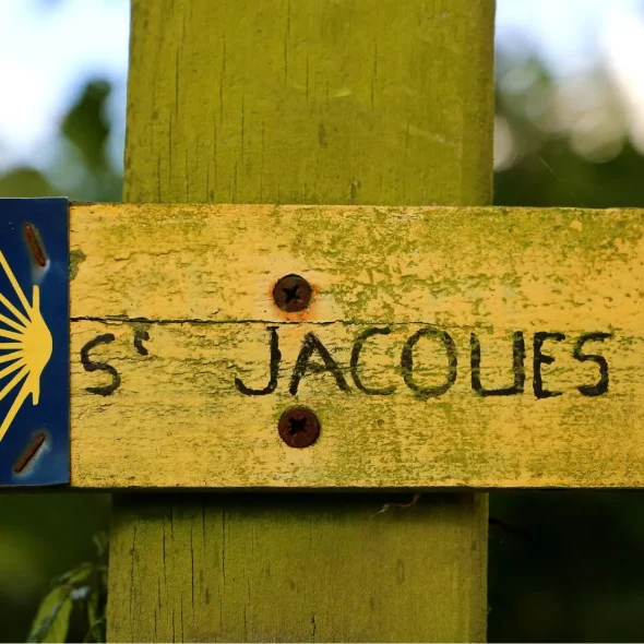 Sorties nature pour les groupes