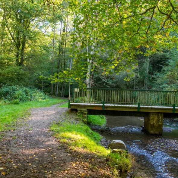 Les plus belles randonnées de Limoges