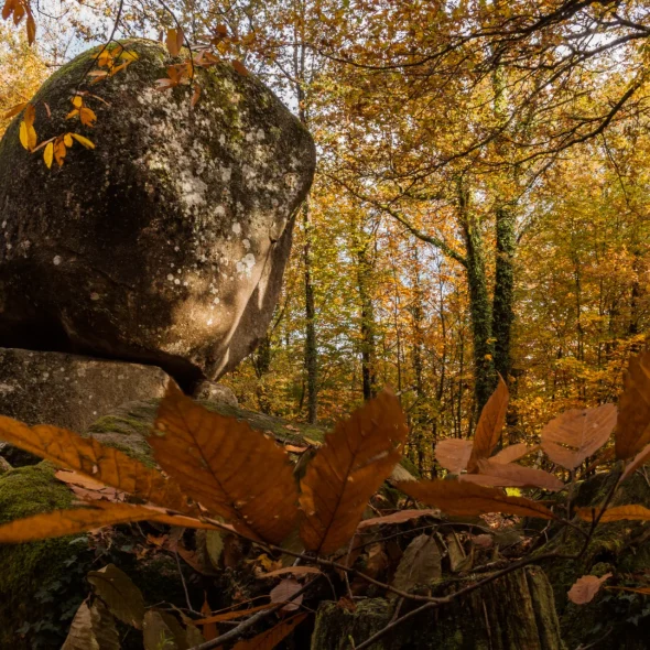 Séjour dans le Nord du Limousin