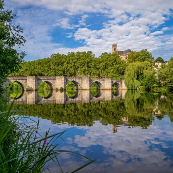 Sorties nature pour les groupes
