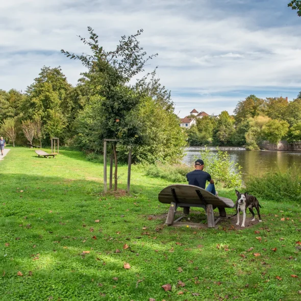 Où promener son chien à Limoges et aux alentours ?
