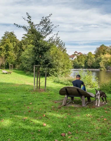 Où promener son chien à Limoges et aux alentours ?