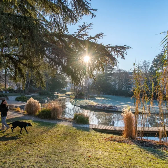Où promener son chien à Limoges et aux alentours ?