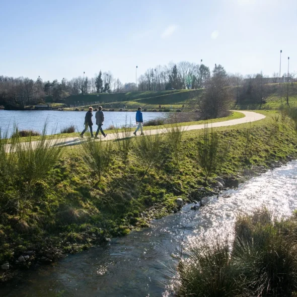 Où promener son chien à Limoges et aux alentours ?