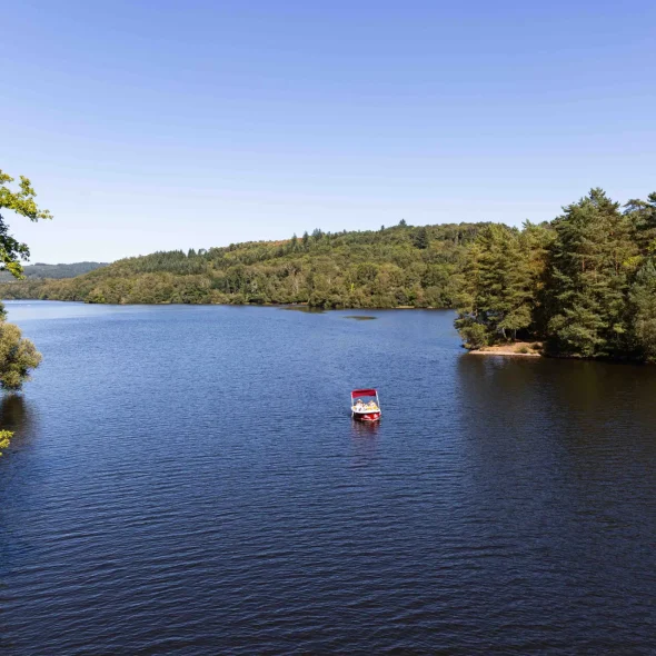 Où promener son chien à Limoges et aux alentours ?
