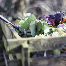Sorting and recovery of bio-waste in tourism