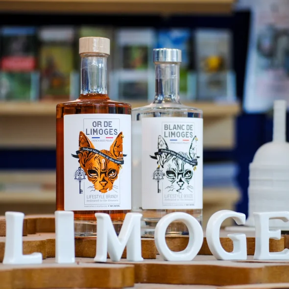 Noël : nos idées cadeaux dans notre boutique