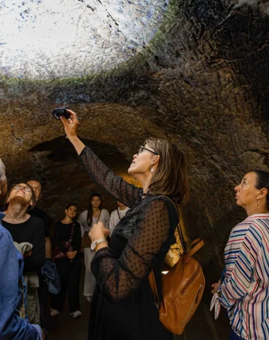 Les visites guidées