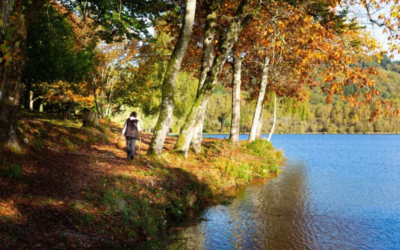 Automne à Limoges : notre to do list