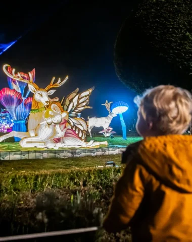 L’Odyssée Lumineuse à Limoges