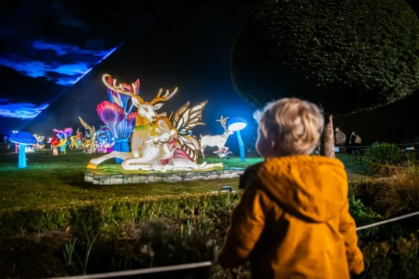 Noël à Limoges