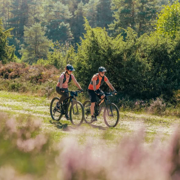 10 bonnes raisons de venir à Limoges
