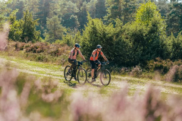 10 gute Gründe, nach Limoges zu kommen