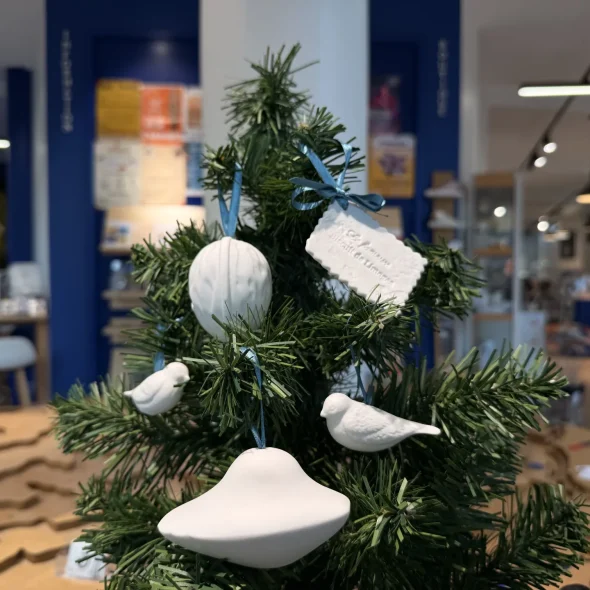 Noël : nos idées cadeaux dans notre boutique