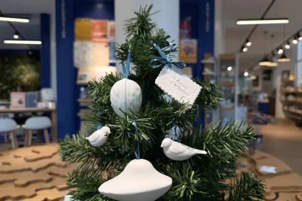 Noël : nos idées cadeaux dans notre boutique