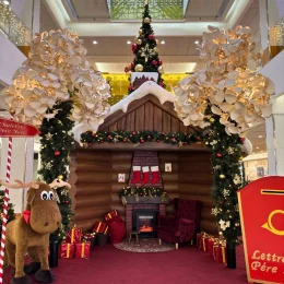 Plein de bonnes raisons d’aller au Centre Saint-Martial pour Noël