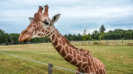 Hébergements et Hôtels