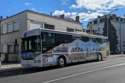 Activités pour les groupes