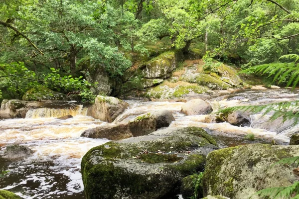 Séjour dans l&rsquo;Est du Limousin