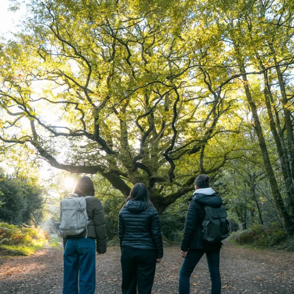 Séjour dans l’Ouest du Limousin