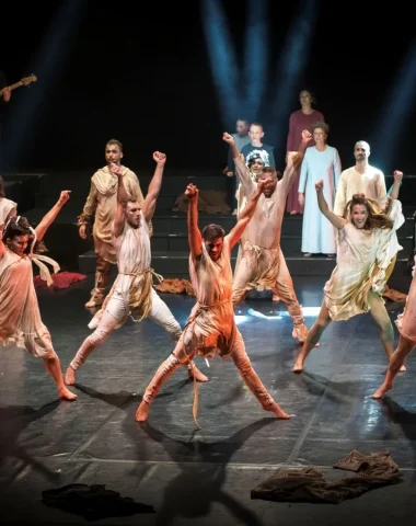 Concerts et spectacles vivants