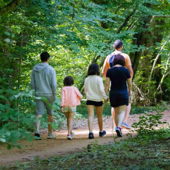 Die 20 besten Wanderungen in Limoges und Umgebung