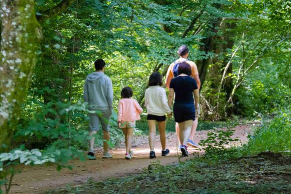Top 20 hikes in Limoges and surrounding areas
