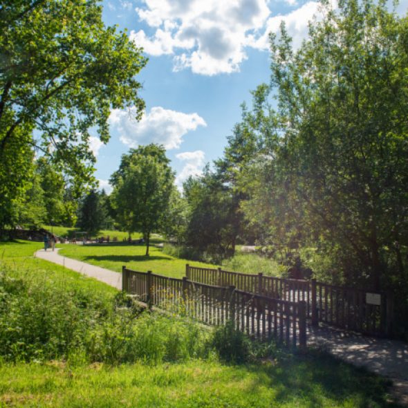 Où promener son chien à Limoges et aux alentours ?