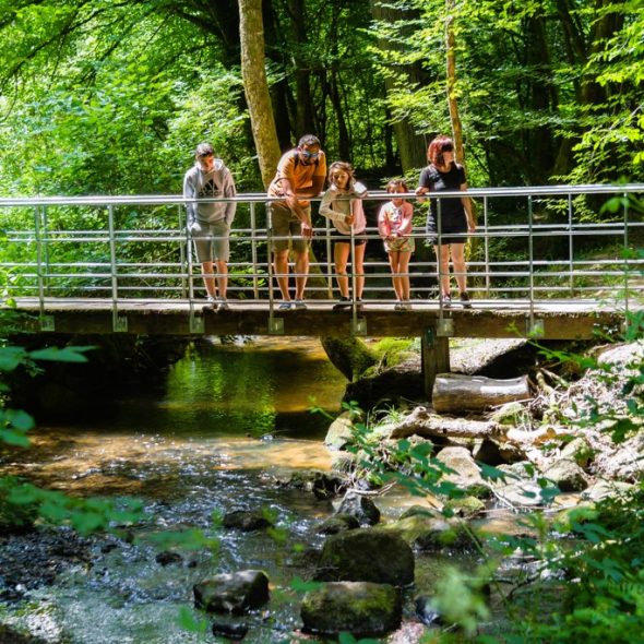 Die 20 besten Wanderungen in Limoges und Umgebung