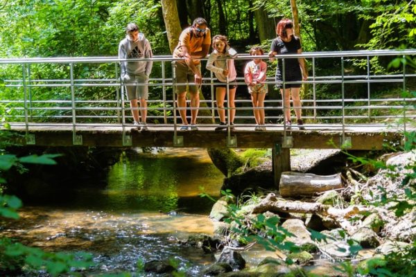 Top 20 hikes in Limoges and surrounding areas