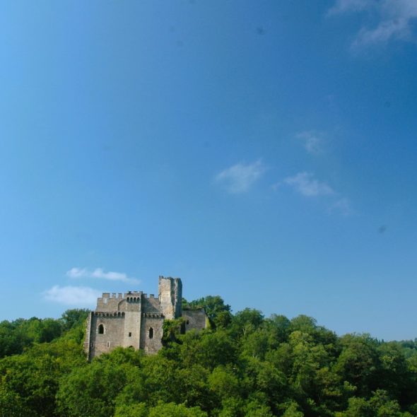 Sorties nature pour les groupes