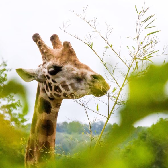 Les meilleurs spots de Limoges