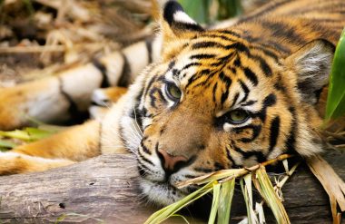 5 idées de sortie: édition pleine nature