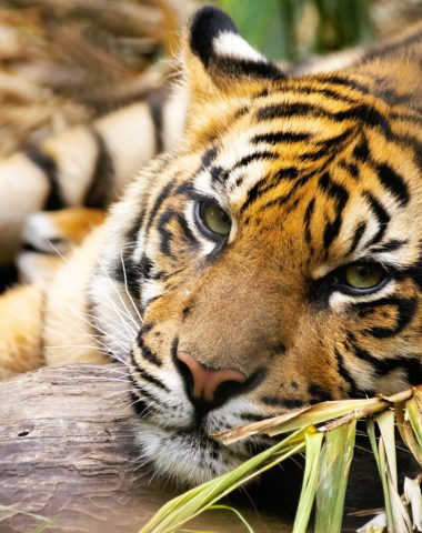 5 idées de sortie: édition pleine nature
