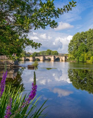 Ville et nature