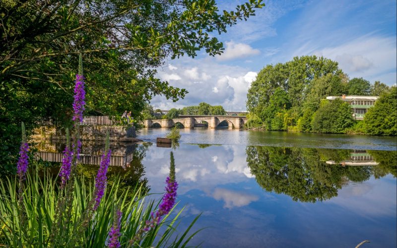 Ville et nature
