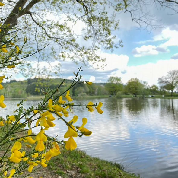 Die 20 besten Wanderungen in Limoges und Umgebung