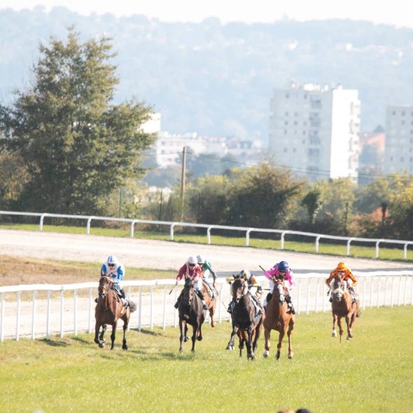 Die 20 besten Wanderungen in Limoges und Umgebung