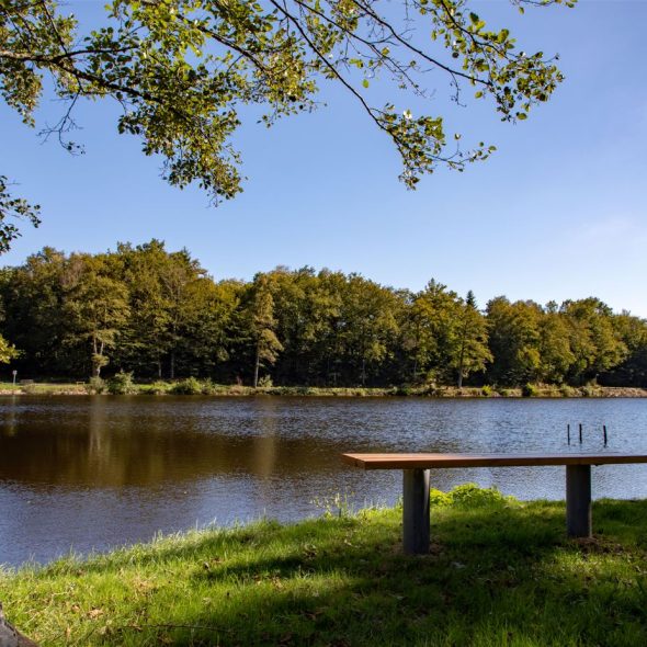 Die 20 besten Wanderungen in Limoges und Umgebung