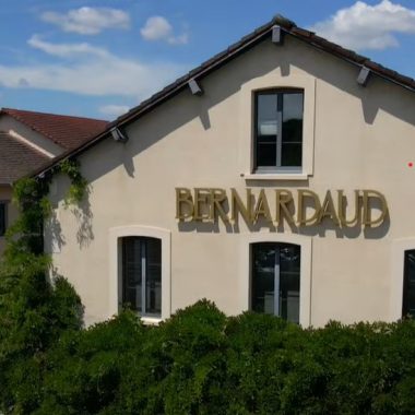 Episode 1 – L’intelligence de la main