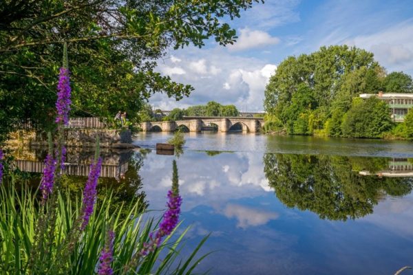 Les bords de Vienne