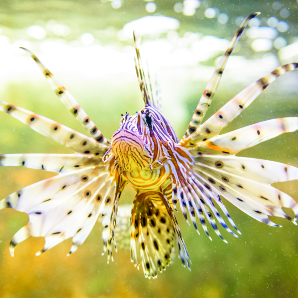 What to do when it rains in Limoges?