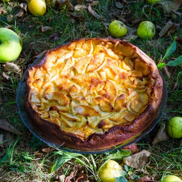 5 plats incontournables du bon Limousin